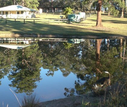 Neds Bed Horse O Tel - Accommodation Sunshine Coast 4