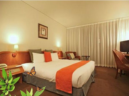 Absolute Beachfront Novotel Pacific Bay - Accommodation Sunshine Coast 1