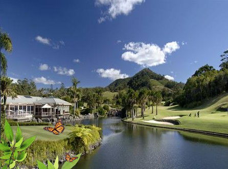 Absolute Beachfront Novotel Pacific Bay - Accommodation Sunshine Coast 2