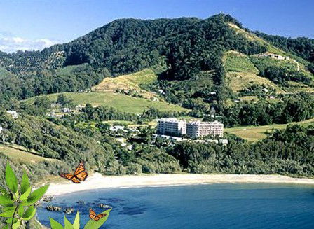 Absolute Beachfront Novotel Pacific Bay - Accommodation Sunshine Coast 3