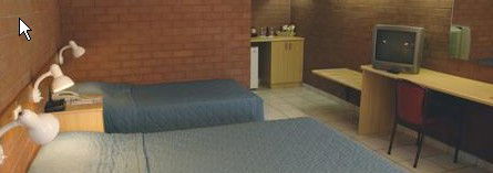 Pine Tree Motel - Accommodation Sunshine Coast 0