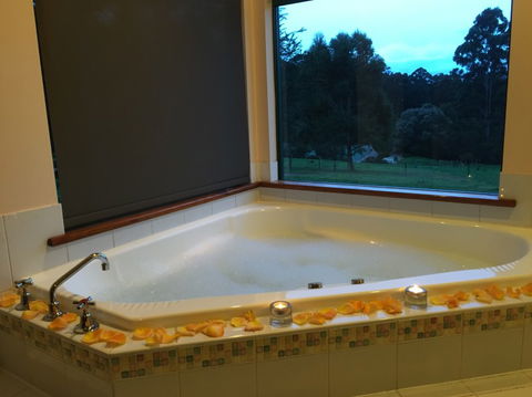 Walpole Wilderness Resort - Accommodation Sunshine Coast 1