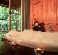 Tree Houses Of Montville - Accommodation Sunshine Coast