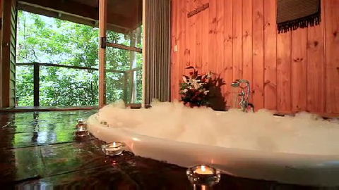 Tree Houses Of Montville - Accommodation Sunshine Coast 0
