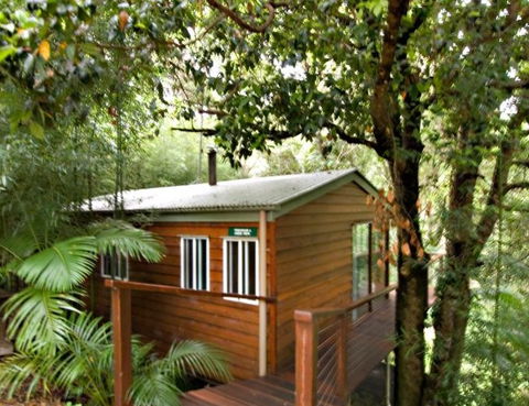 Tree Houses Of Montville - Accommodation Sunshine Coast 2