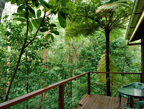 Tree Houses Of Montville - Accommodation Sunshine Coast 3