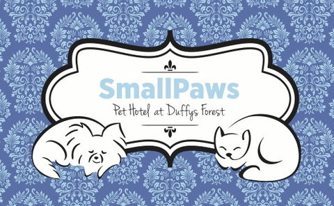 SmallPaws Pet Hotel - Accommodation Sunshine Coast 1