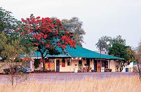 Wauchope Hotel And Roadhouse - Accommodation Sunshine Coast 0