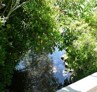 Mole Creek Hotel - Accommodation Sunshine Coast