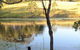 Wingham Pet Motel - thumb 7