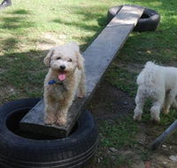 Beenleigh Pet Motel - Accommodation Sunshine Coast