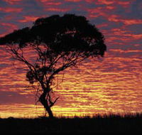 Kimba Caravan Park amp Motel - Accommodation Sunshine Coast