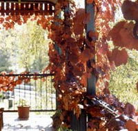 The Vines Motel amp Cottages - Accommodation Sunshine Coast