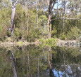 Sanctuary House Resort Motel - Healesville - Accommodation Sunshine Coast 5