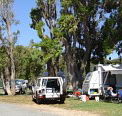 Elliston Caravan Park - Accommodation Sunshine Coast