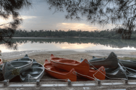 Boambee Bay Resort - Accommodation Sunshine Coast 5