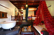 Casuarina Country Inn - Accommodation Sunshine Coast 3