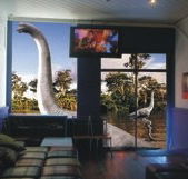 Chiliblue Backpackers - Accommodation Sunshine Coast