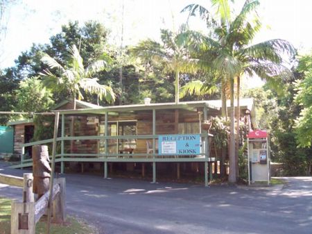 Mount Warning Rainforest Park - Accommodation Sunshine Coast 1