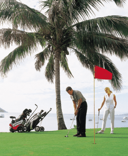 Adventure Island Whitsundays (south Molle Island) - Accommodation Sunshine Coast 2