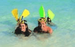 Adventure Island Whitsundays (south Molle Island) - Accommodation Sunshine Coast 5