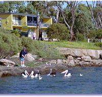 Almonta Holiday Apartments - Accommodation Sunshine Coast