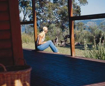 Eaglereach Wilderness Resort - Accommodation Sunshine Coast 2