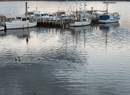 Hobart Apartments - Accommodation Sunshine Coast 1
