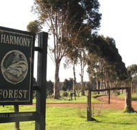 Harmony Forest - Accommodation Sunshine Coast