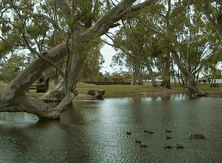 Bordertown Abode Parkland Motel - Accommodation Sunshine Coast 2