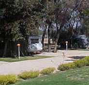 Paringa Caravan Park - Accommodation Sunshine Coast