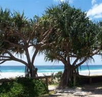 Pacific Surf Absolute Beachfront Apartments - Accommodation Sunshine Coast