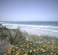 Moyne Cottage - Accommodation Sunshine Coast