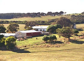 Sun Valley Eco Farm - Accommodation Sunshine Coast 0