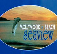 A Mollymook Beach Seaview - Accommodation Sunshine Coast