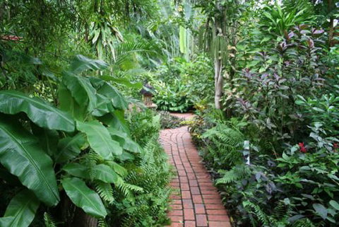 Shambhala Retreat Magnetic Island Cottages - Accommodation Sunshine Coast 7