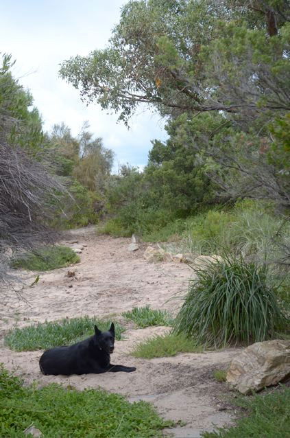 Dune Hideaway - Accommodation Sunshine Coast 3