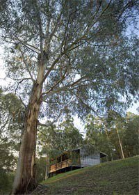 Outpost Restaurant - Accommodation Sunshine Coast 0