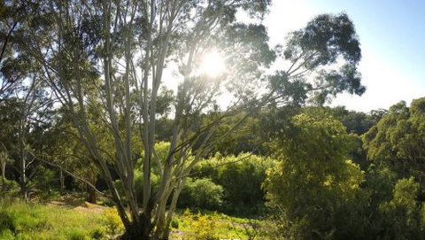 Springs Creek - Accommodation Sunshine Coast 4