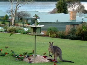 Gipsy Point Lakeside - Accommodation Sunshine Coast 0