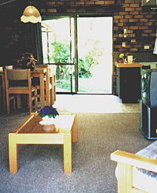 Falls Forest Retreat - Accommodation Sunshine Coast 0