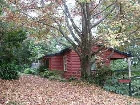 Turkeys Nest Rainforest Cottage - Accommodation Sunshine Coast 0