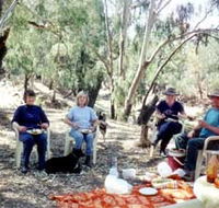 Bimbimbi And Little Hollow Farm Stay - Accommodation Sunshine Coast