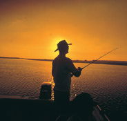 Point Stuart Wilderness Lodge - Accommodation Sunshine Coast