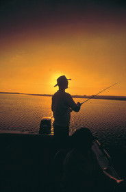 Point Stuart Wilderness Lodge - Accommodation Sunshine Coast 0