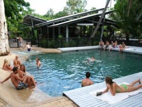 Bungalow Bay Koala Village - Accommodation Sunshine Coast 0