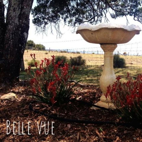 Belle Vue Studio - Accommodation Sunshine Coast 1