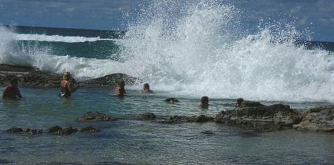 Orchid Sands Fraser Island Accommodation - Accommodation Sunshine Coast 5