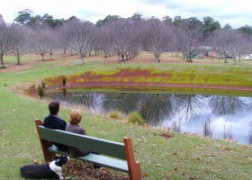 Chestnut Glade - Accommodation Sunshine Coast 0