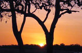 Coodardie Station Stay - Accommodation Sunshine Coast 0
